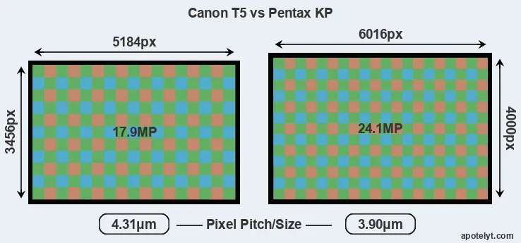 T5 versus KP MP