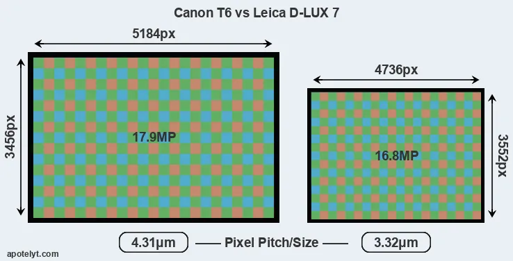T6 versus D-LUX 7 MP