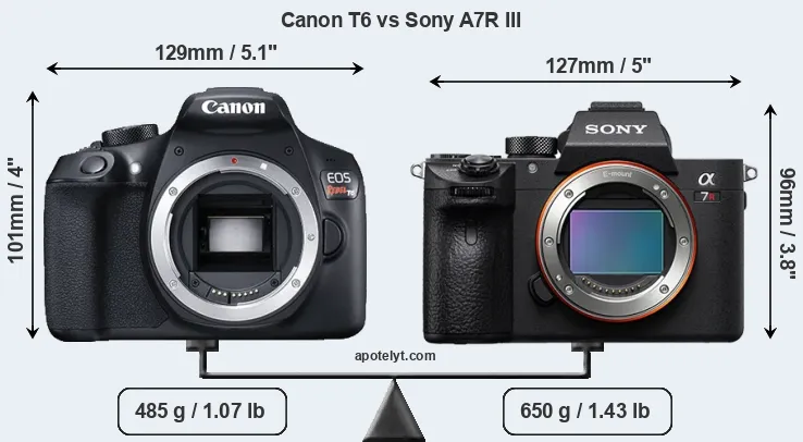 Size Canon T6 vs Sony A7R III