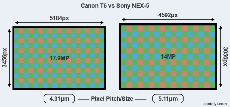 T6 versus NEX-5 MP