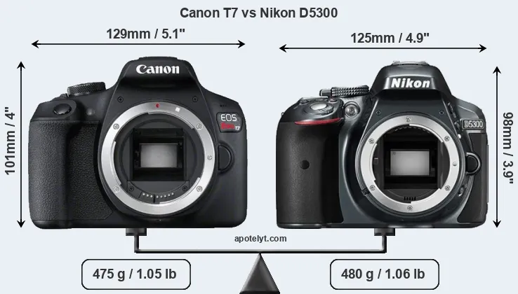 Size Canon T7 vs Nikon D5300
