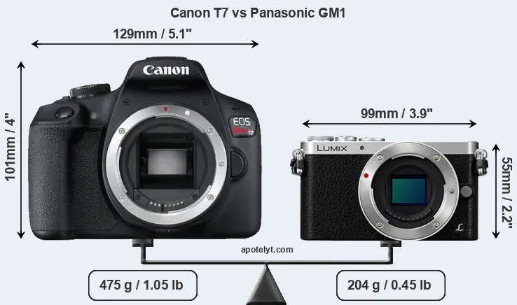 Size Canon T7 vs Panasonic GM1