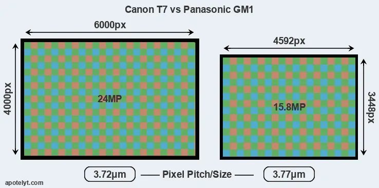 T7 versus GM1 MP