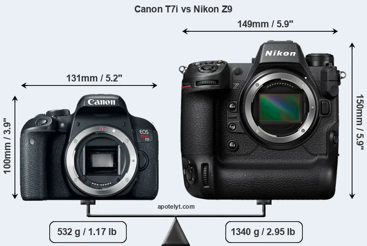 Size Canon T7i vs Nikon Z9