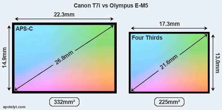 Canon T7i and Olympus E-M5 sensor measures