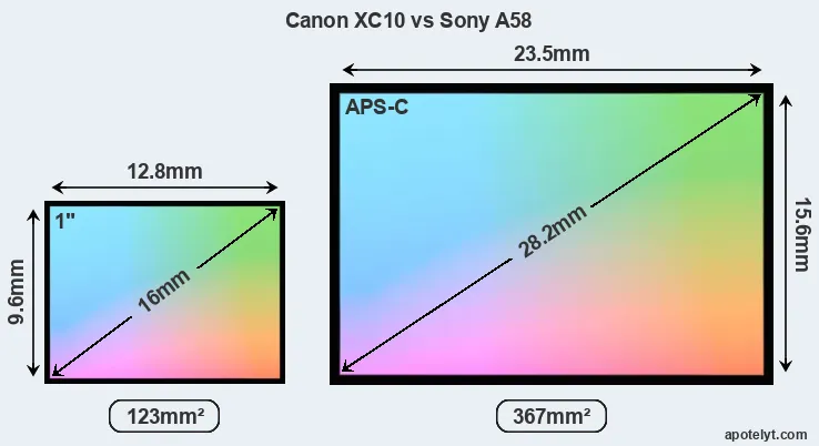 Canon XC10 and Sony A58 sensor measures