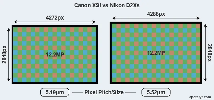 XSi versus D2Xs MP