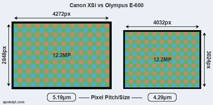 XSi versus E-600 MP