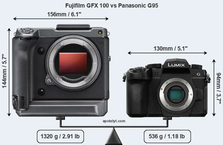 Size Fujifilm GFX 100 vs Panasonic G95
