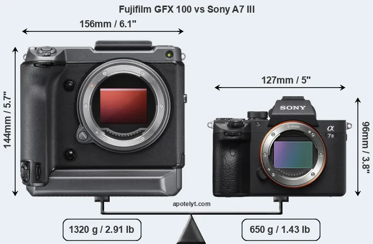 Size Fujifilm GFX 100 vs Sony A7 III