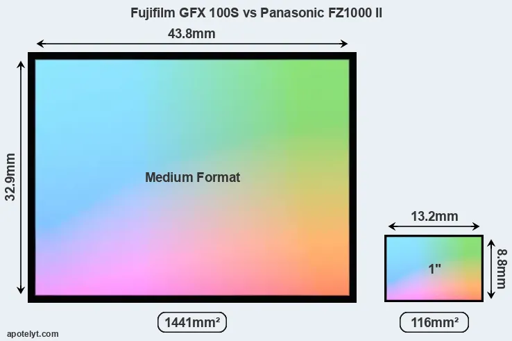 Fujifilm GFX 100S and Panasonic FZ1000 II sensor measures