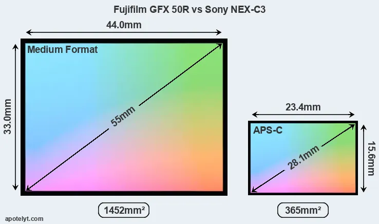 Fujifilm GFX 50R and Sony NEX-C3 sensor measures
