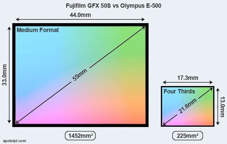 Fujifilm GFX 50S and Olympus E-500 sensor measures