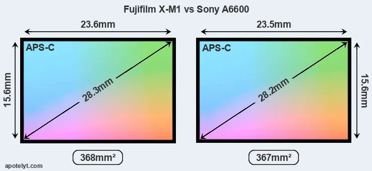 Fujifilm X-M1 and Sony A6600 sensor measures