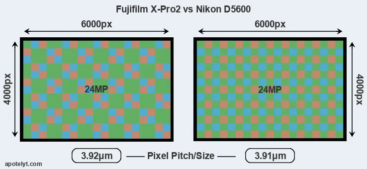 X-Pro2 versus D5600 MP