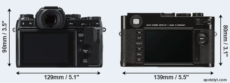 Comparison X-T1 or M Typ 262 rear