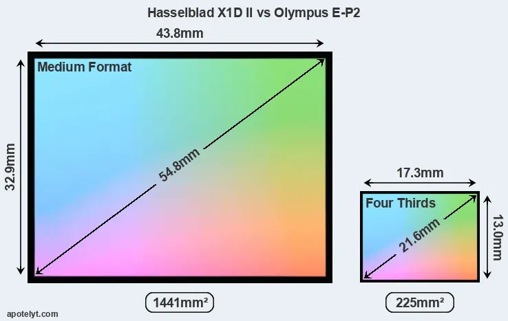Hasselblad X1D II and Olympus E-P2 sensor measures