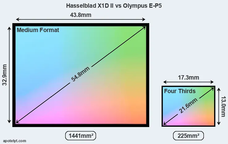 Hasselblad X1D II and Olympus E-P5 sensor measures