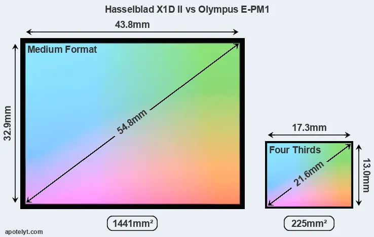 Hasselblad X1D II and Olympus E-PM1 sensor measures