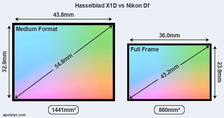 Hasselblad X1D and Nikon Df sensor measures