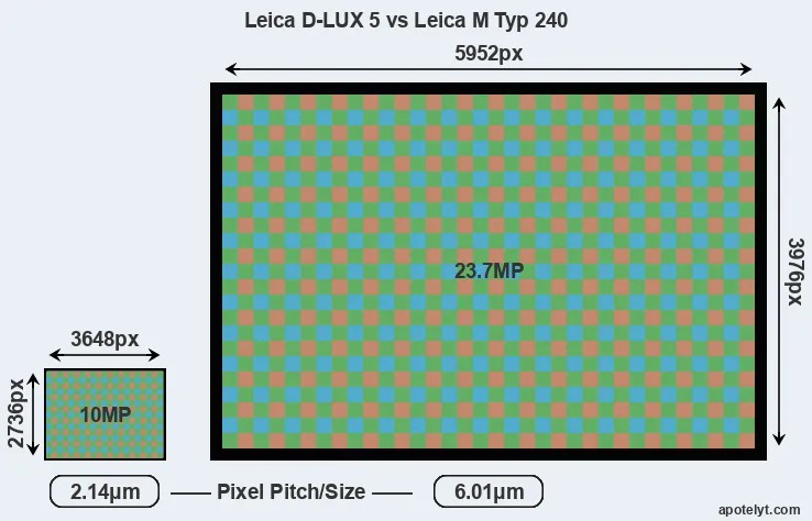 D-LUX 5 versus M Typ 240 MP