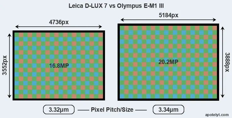 D-LUX 7 versus E-M1 III MP