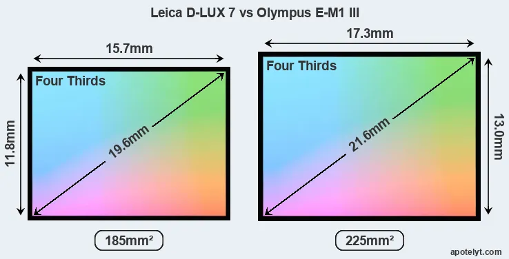 Leica D-LUX 7 and Olympus E-M1 III sensor measures