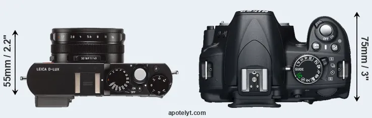 Compare D-LUX Typ 109 versus D3100 top