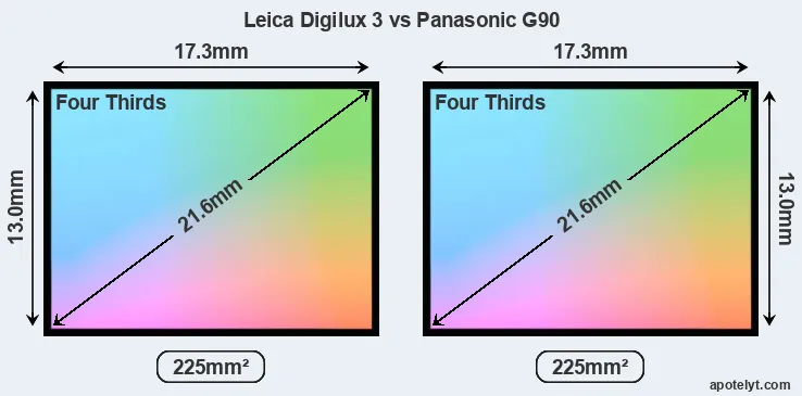 Leica Digilux 3 and Panasonic G90 sensor measures