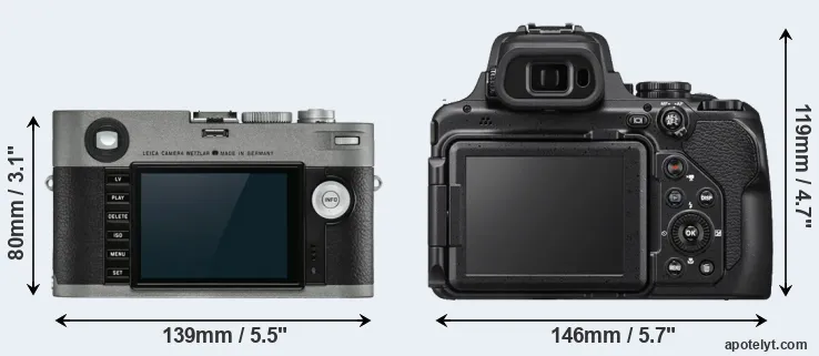 Comparison M-E Typ 240 or P1000 rear