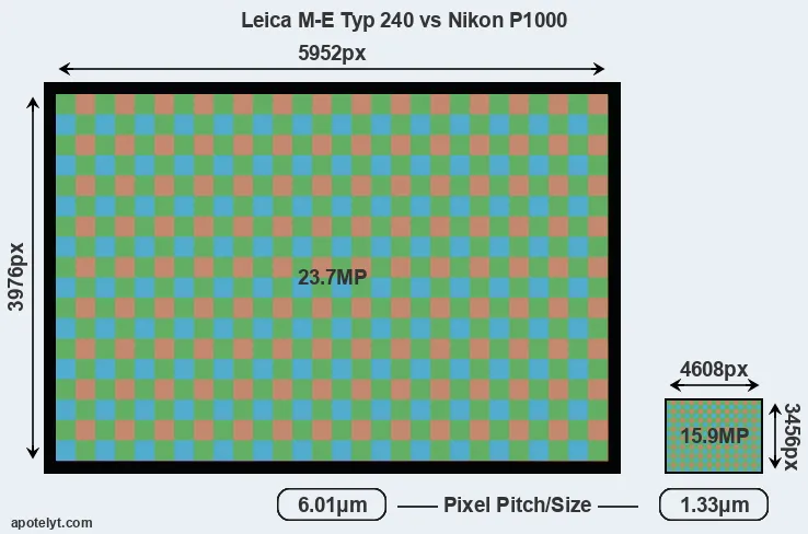 M-E Typ 240 versus P1000 MP