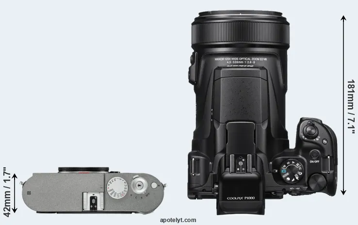 Compare M-E Typ 240 versus P1000 top