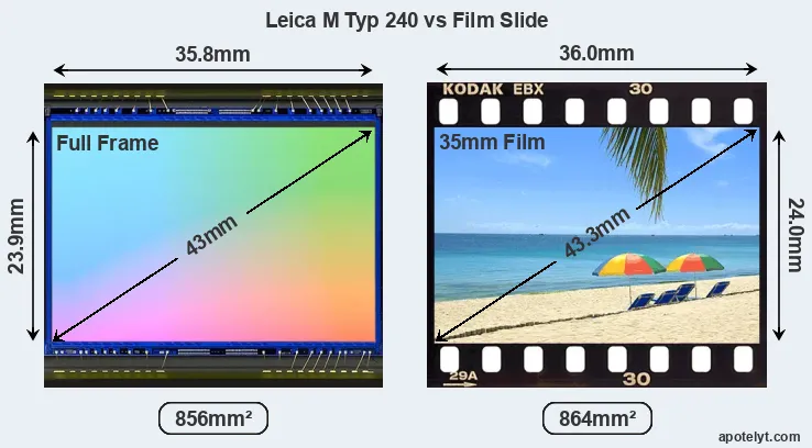 Leica M Typ 240 and Credit Card sensor measures