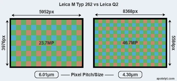 M Typ 262 versus Q2 MP