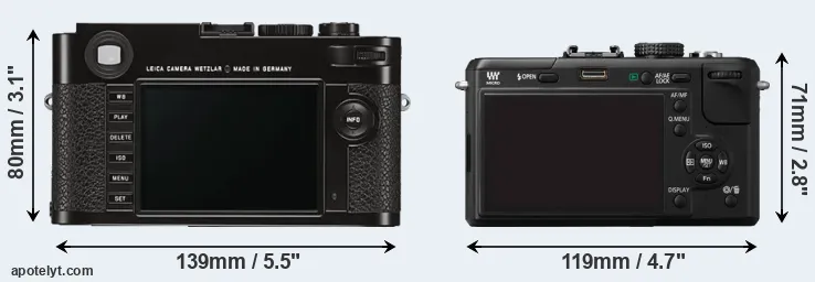 Comparison M Typ 262 or GF1 rear