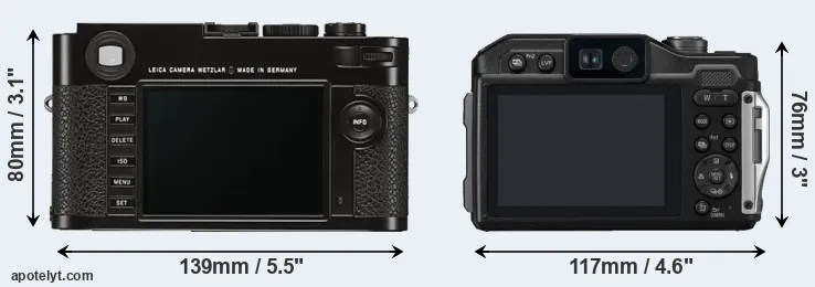 Comparison M Typ 262 or TS7 rear