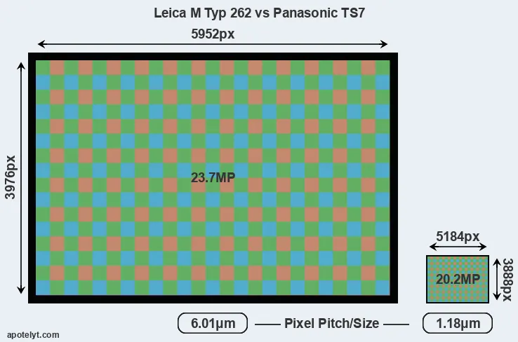 M Typ 262 versus TS7 MP