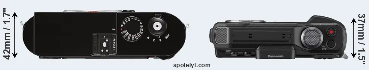 Compare M Typ 262 versus TS7 top