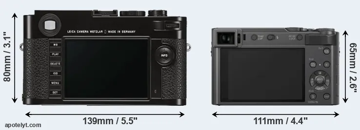 Comparison M Typ 262 or ZS200 rear