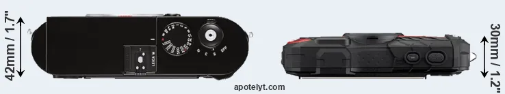 Compare M Typ 262 versus WG-60 top