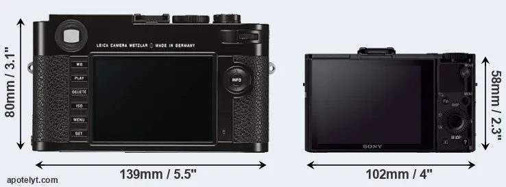 Comparison M Typ 262 or RX100 II rear