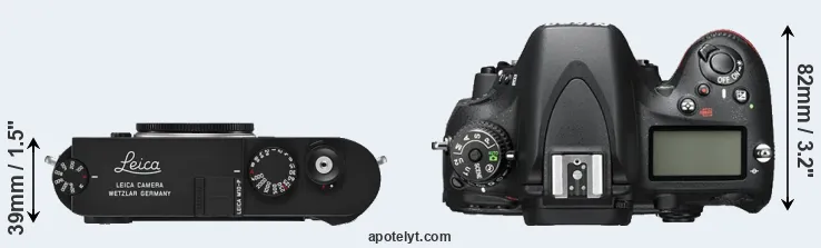 Compare M10-P versus D600 top
