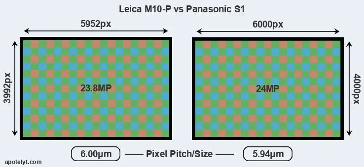 M10-P versus S1 MP