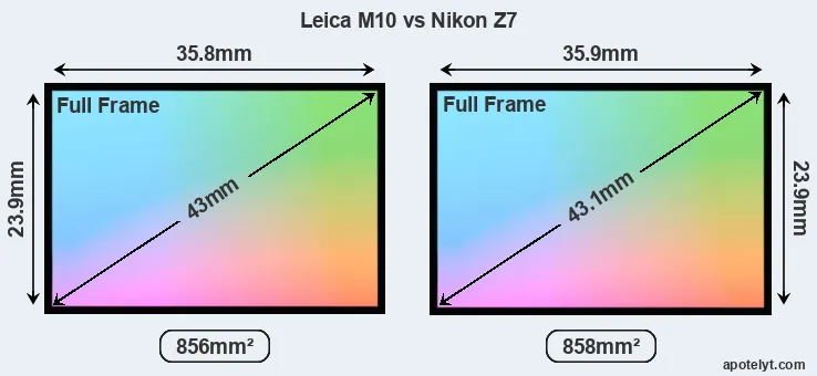 Leica M10 and Nikon Z7 sensor measures