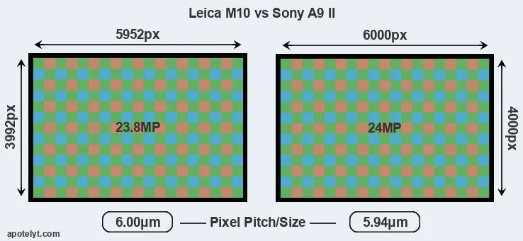 M10 versus A9 II MP