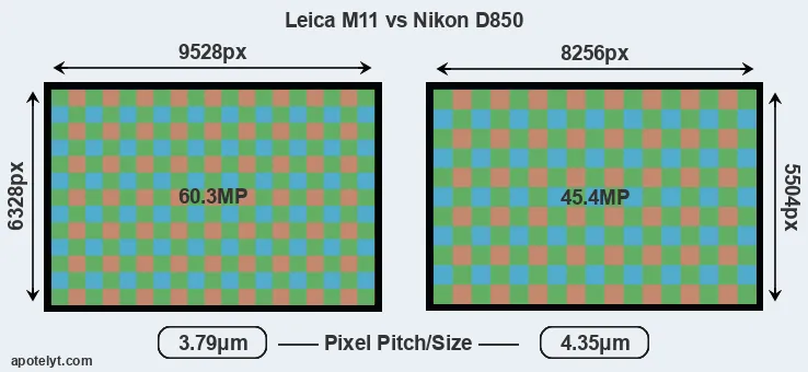 M11 versus D850 MP