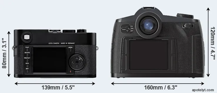 Comparison M8 or S2 rear