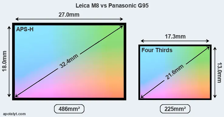 Leica M8 and Panasonic G95 sensor measures