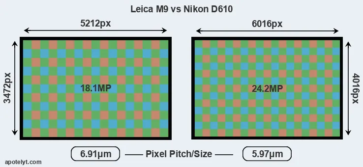M9 versus D610 MP