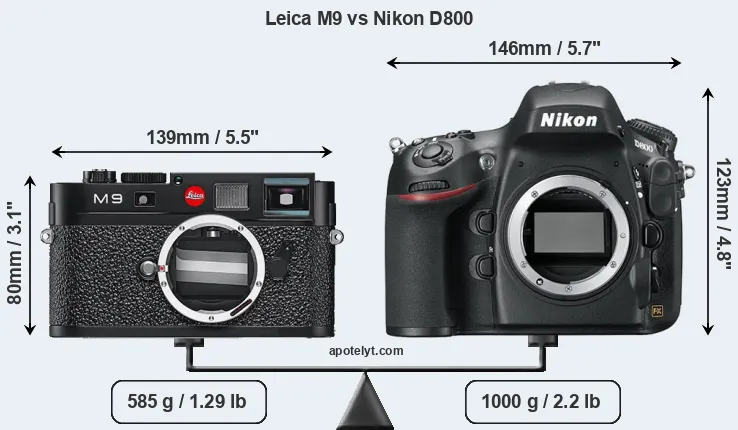 Size Leica M9 vs Nikon D800